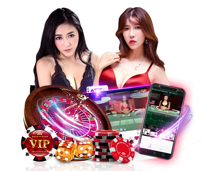 88pnpplus ทางเข้า